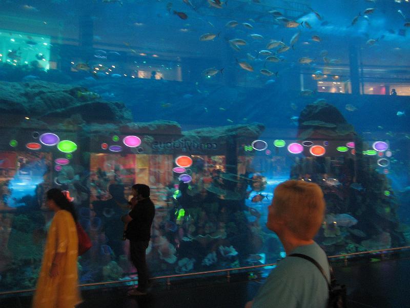 IMG_2844.JPG - Verdens største akvarium, desværre giver forretningerne bagved genskær i glasset men her var meterlange hajer m.m.